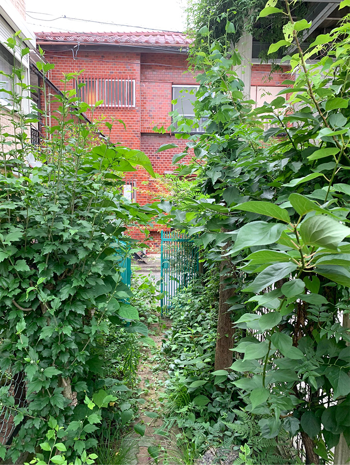 間口1.7mの、建てられない家