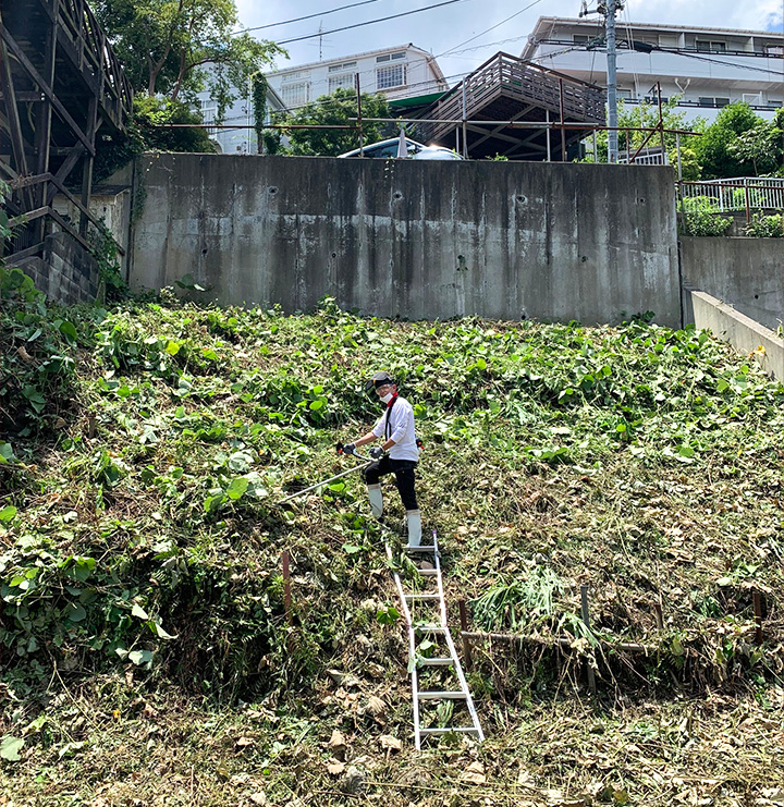 奥様お一人で抱えていた、王禅寺の土地