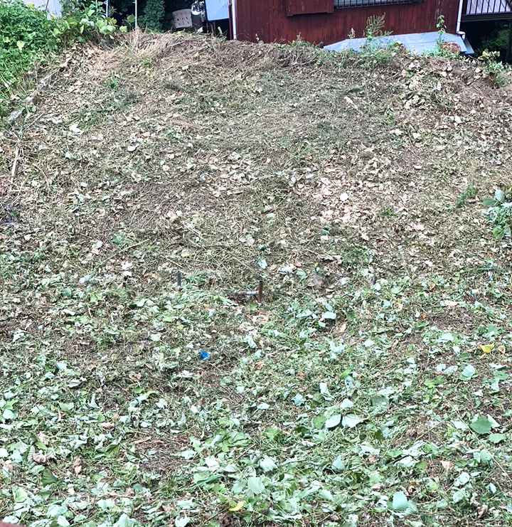 奥様お一人で抱えていた、王禅寺の土地