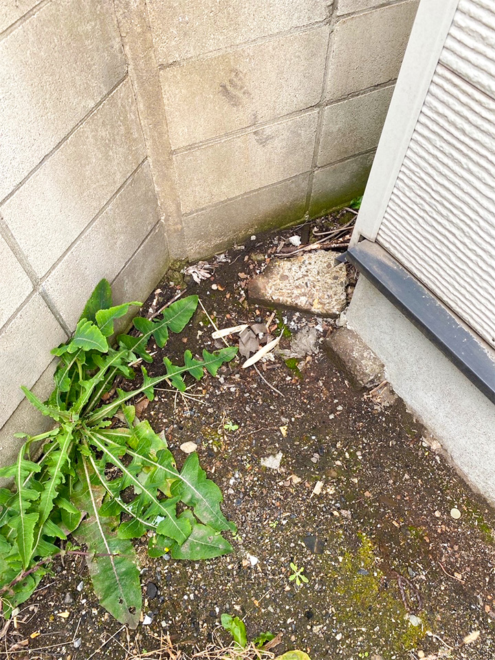 活用先が見つかった、三角形の土地