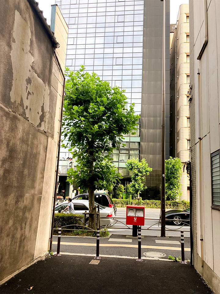 行き場をなくした、3.5坪の土地|両国